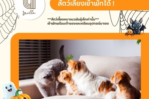 Pet  Friendly